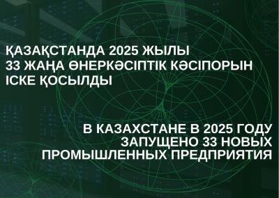 Қазақстанда 2025 жылы 33 жаңа өнеркәсіптік кәсіпорын іске қосылды