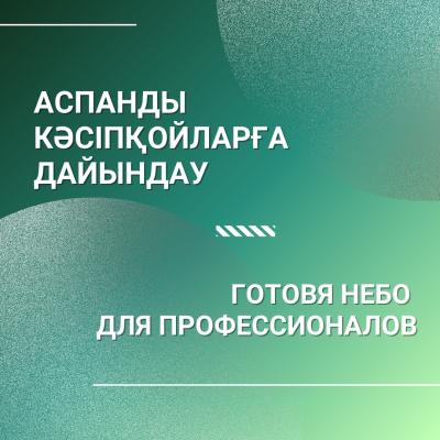 Preparing the Sky for Professionals